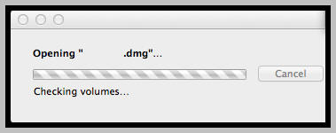 Opening DMG file... Checking Volumes (HFS+)